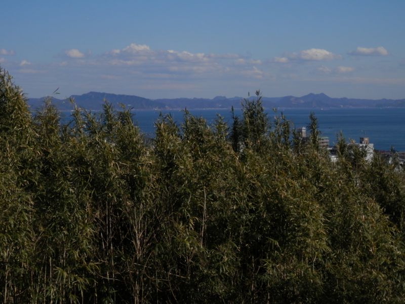 千葉の山々を望む