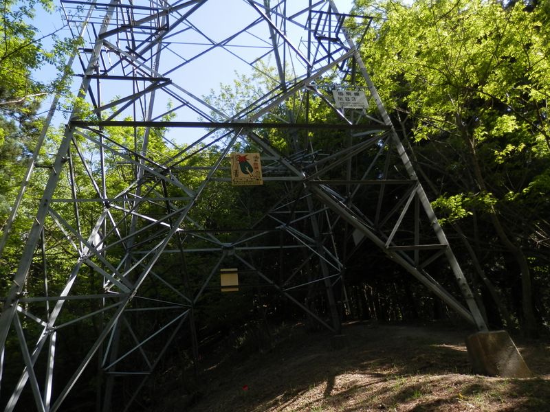 笛駒線 No.83 と書かれた鉄塔
