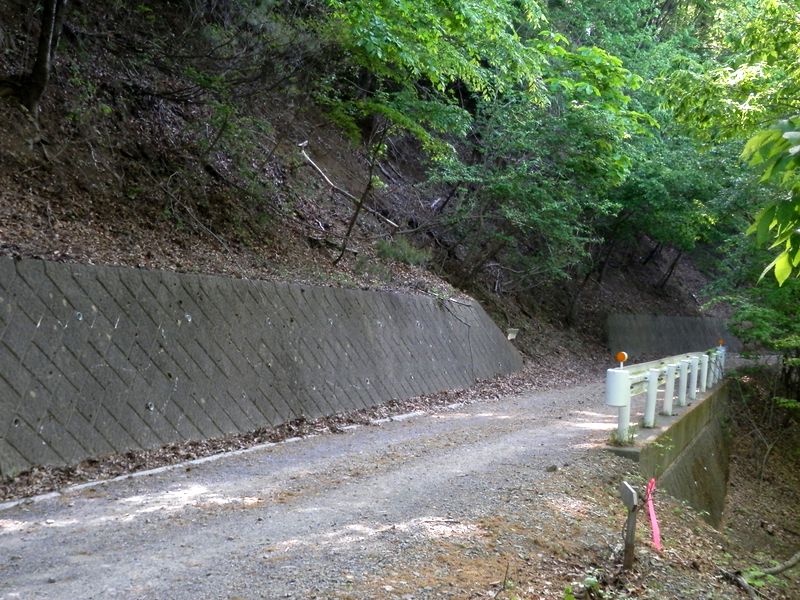 寂惝尾根から滝子山 -- 林道に出る