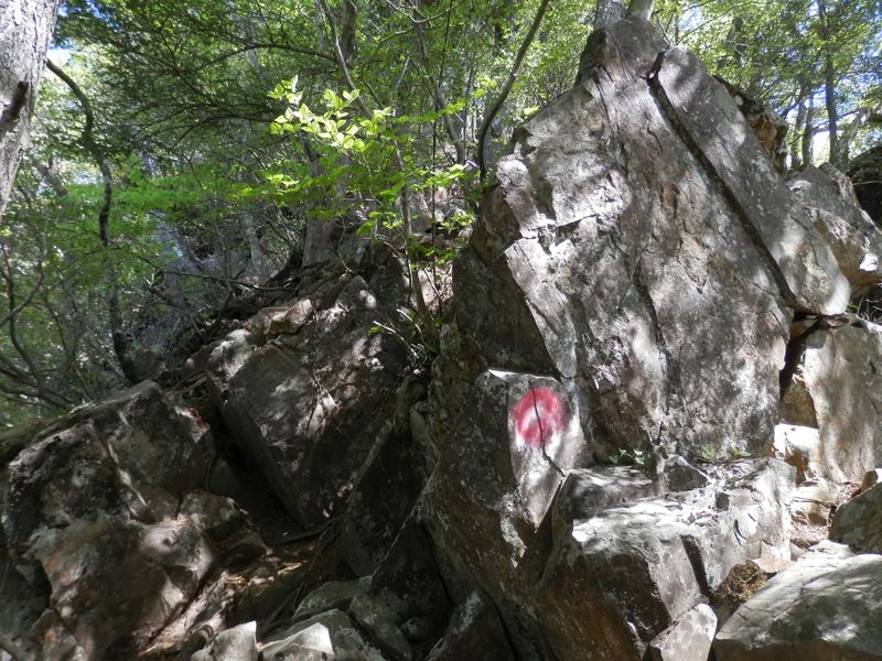 どこを進むかは、自分で判断しながら登る