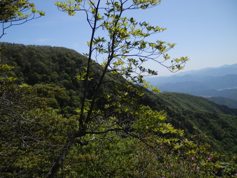 右手には、檜平を経て初狩駅に下りる南東尾根