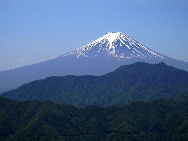 やっぱり、日本一！