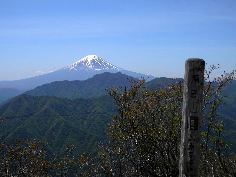今日の日はさようなら