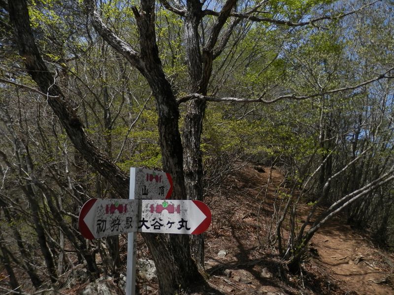 大谷ヶ丸に向かう