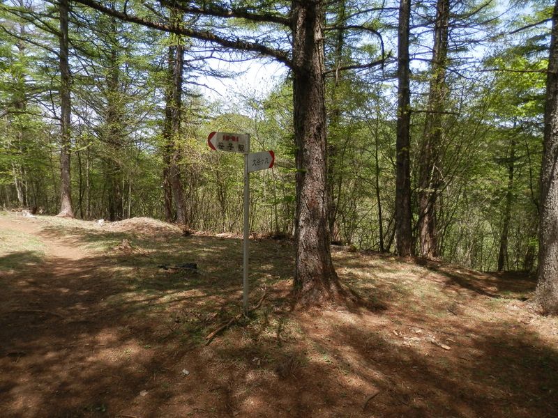 左は道証地蔵へ、右は大谷ヶ丸へ