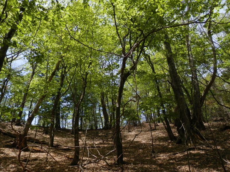 すりばち状の斜面を通過