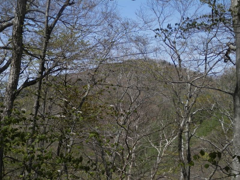 ハマイバ丸（1752m）を望む