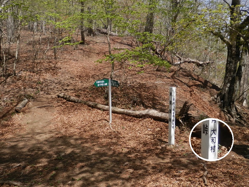 米背負峠に到着