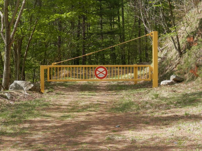 大蔵沢林道に下り立つ"