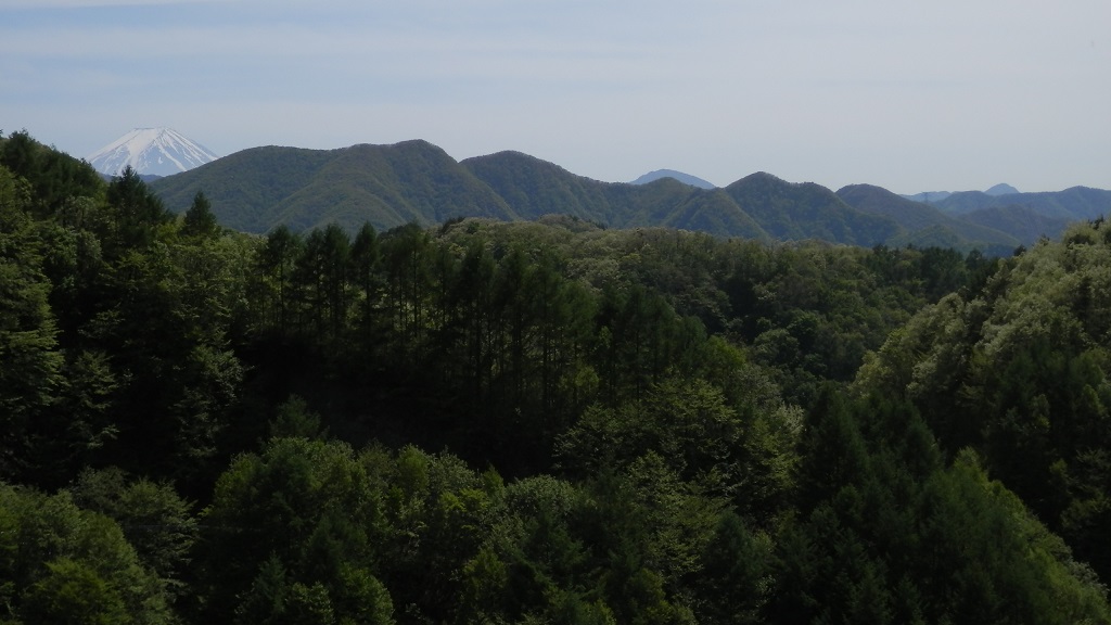 お坊山、トクモリ、米沢山、笹子雁ヶ腹摺山など