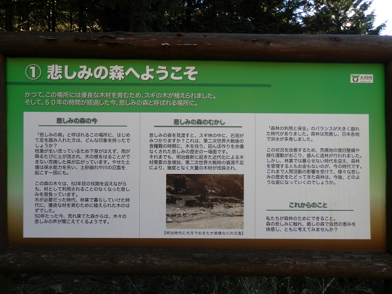 悲しみの森へようこそ