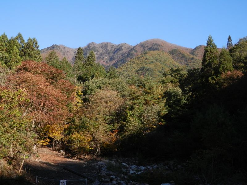 林道から滝子山の山頂が見えた