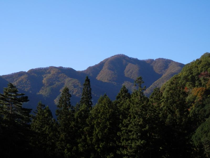 南を振り返ると、鶴ヶ鳥屋山