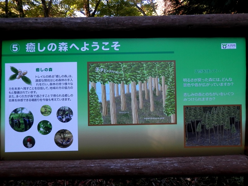 癒しの森へようこそ