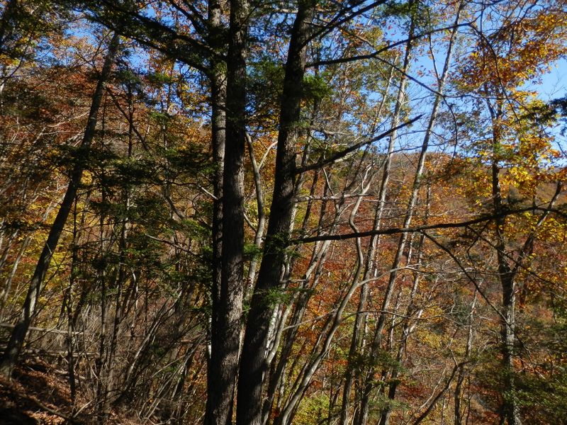 南東尾根を望む