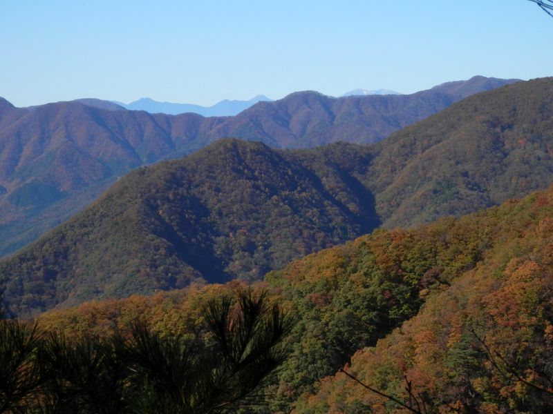 寂惝尾根が錦色