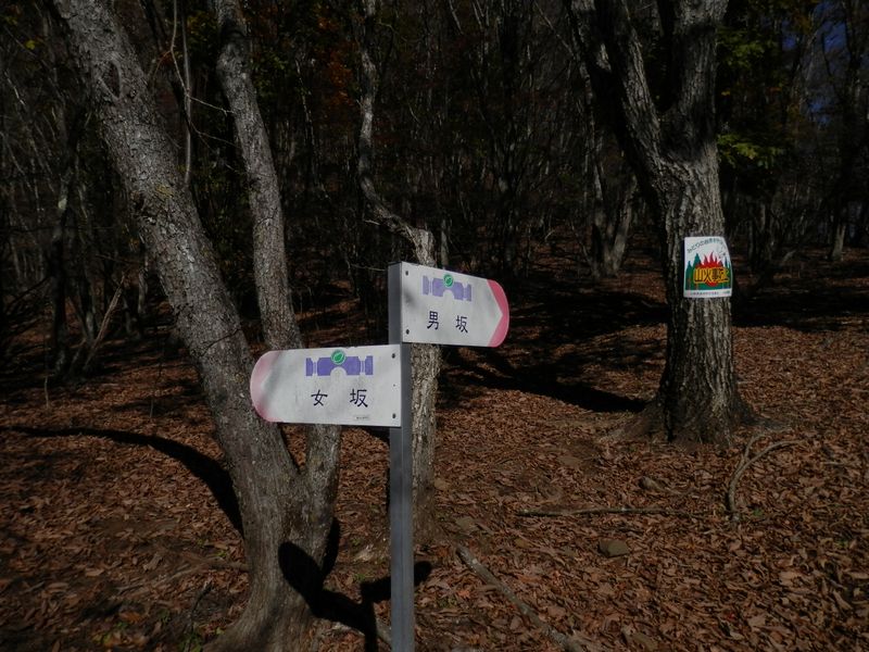男坂をチョイス