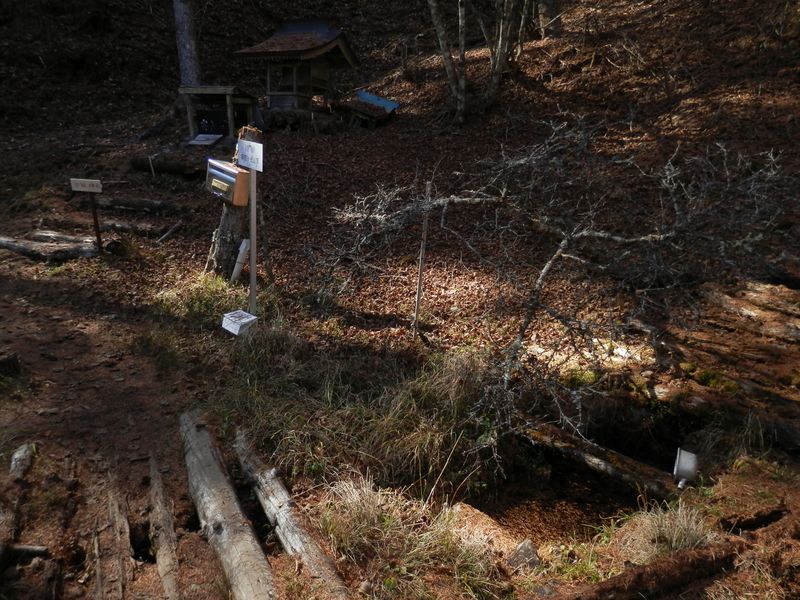 ひっそり、鎮西ヶ池と白縫神社