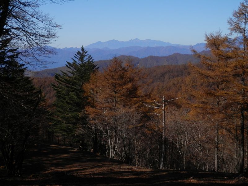 防火帯から望む、八ヶ岳