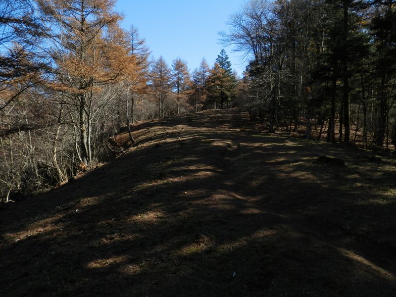 防火帯を振り返る