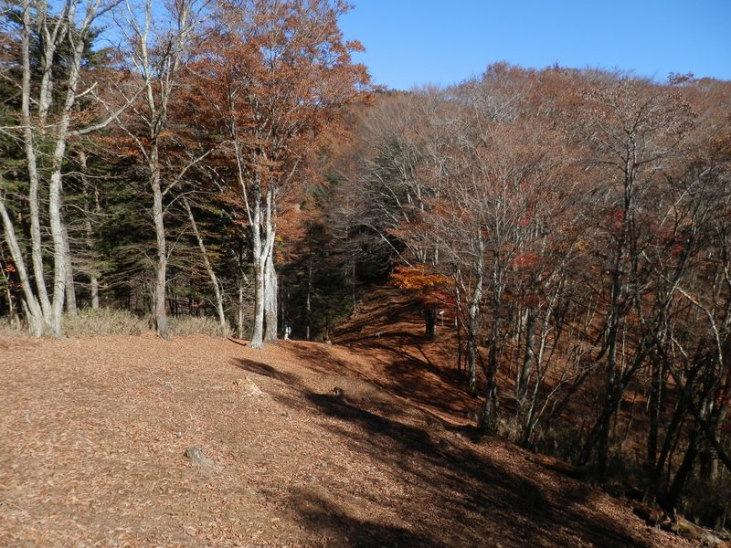 防火帯の鞍部を振り返る