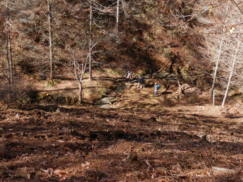 防火帯はここで終って、可愛らしい沢に降りる