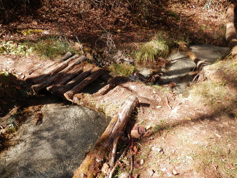 きれい磨かれた砂の上をせせらぐ清流