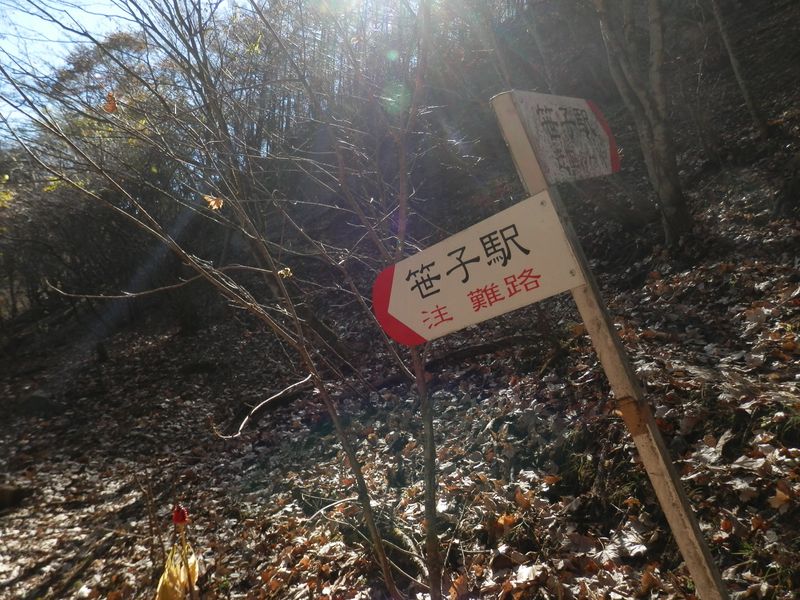 「難路」と「迂回路」の分岐点