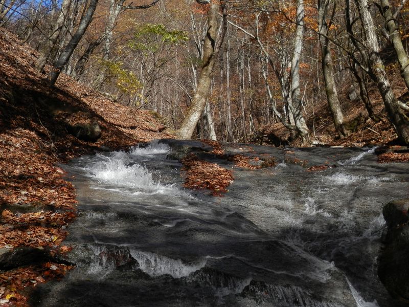 岩床を滑る清流