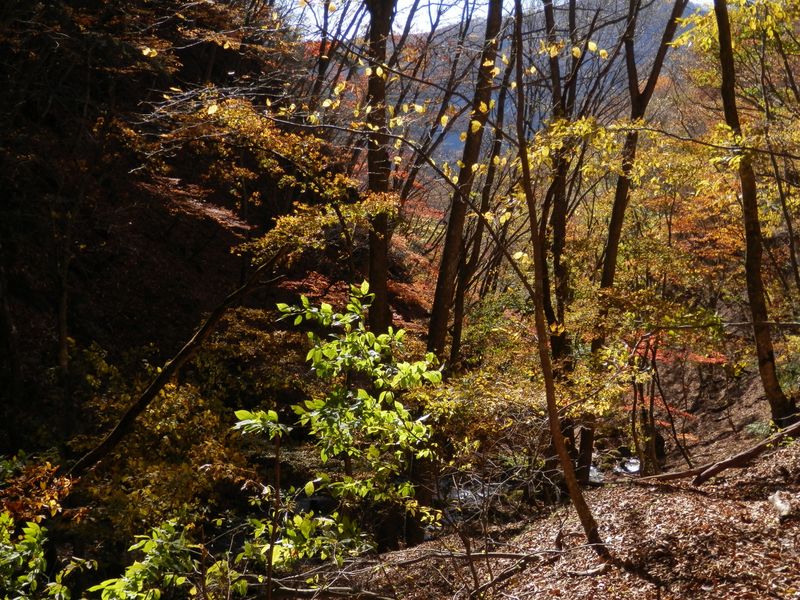 美しい難路　その一