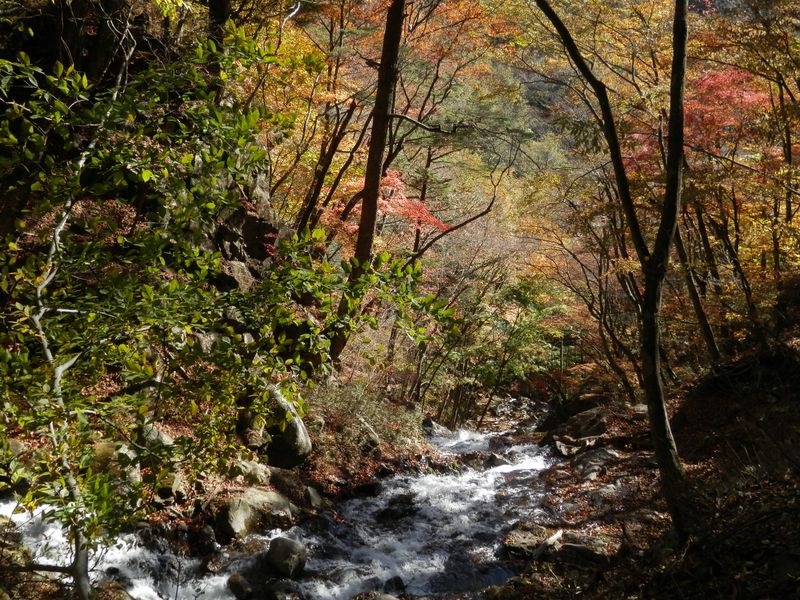 美しい難路　その五