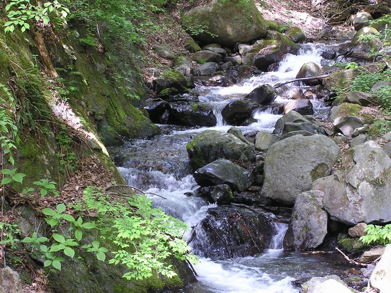 滝子山 -- 「ズミ沢」沿いに登る