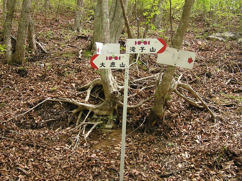 滝子山 -- 道証地蔵から約1時間歩いた