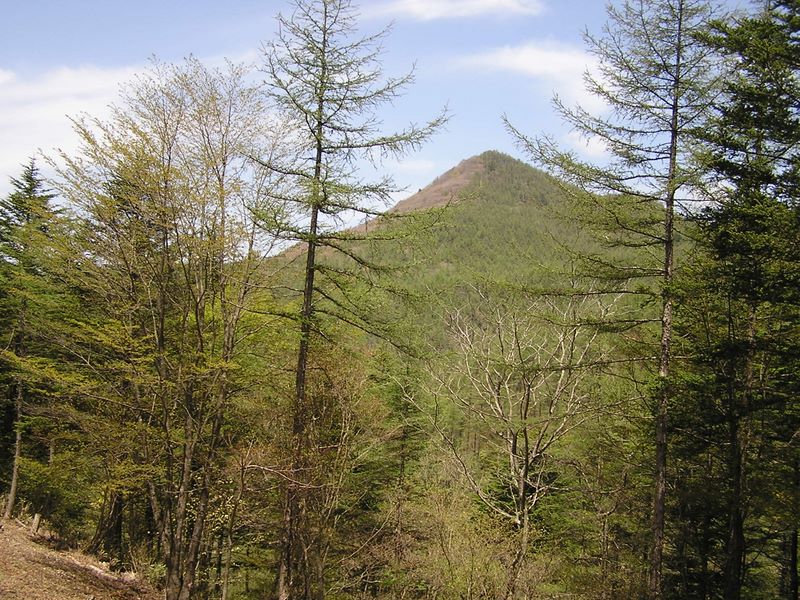 滝子山 -- 大谷ケ丸