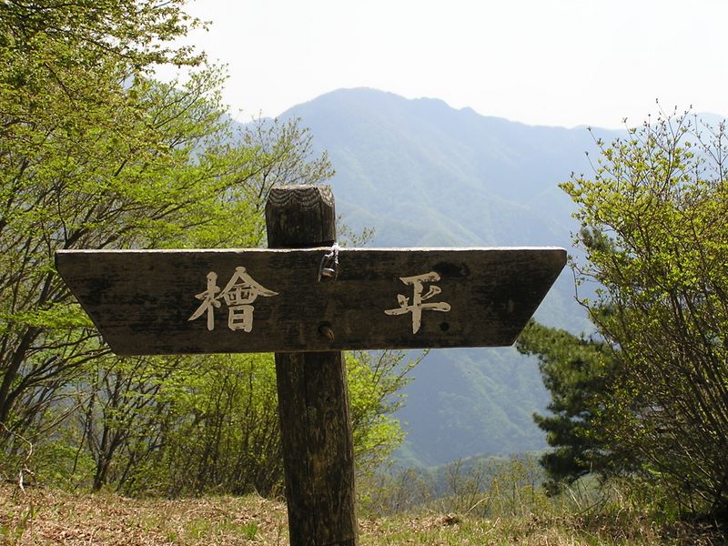 滝子山 -- 本社ケ丸を望む