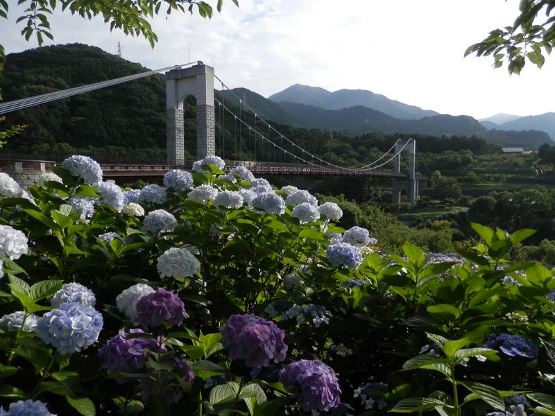 風の吊橋と三ノ塔・二ノ塔