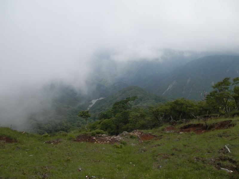 鍋割沢の見えた一瞬