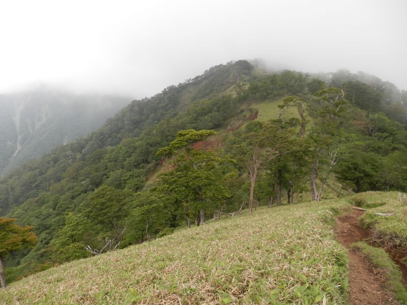 行く手の丹沢山は、あの峰の向こう側