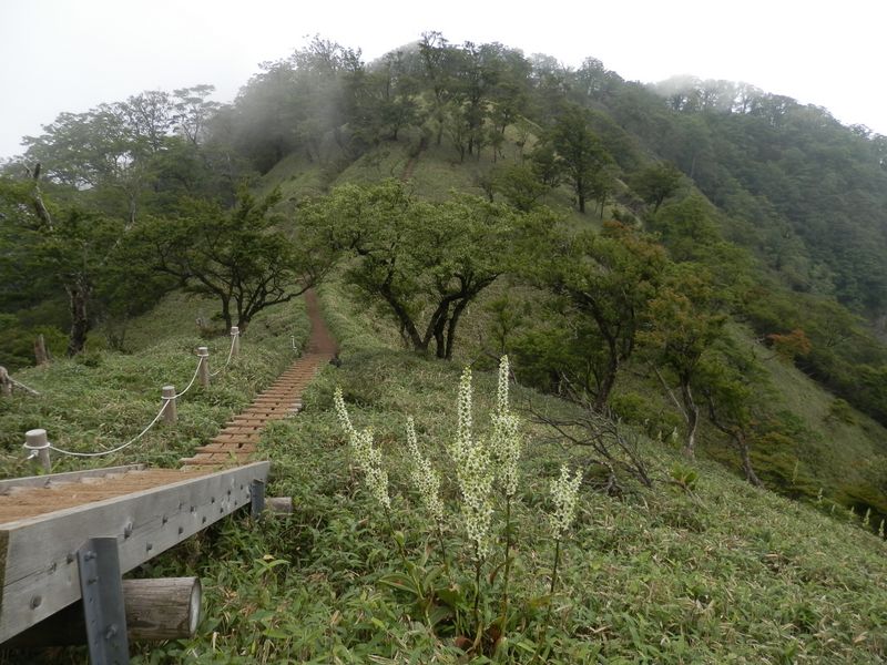 日高を振り返る