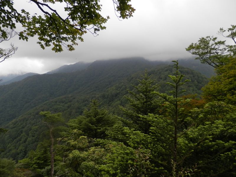 円山木の頭から望んだ丹沢山