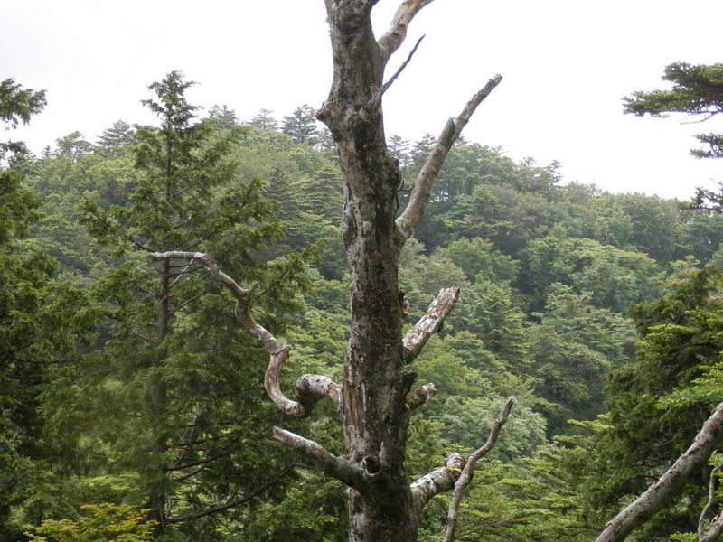 本間ノ頭より、無名の頭を振り返る