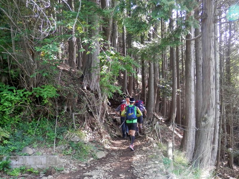 この日もトレイルランナーがたくさん来ていた