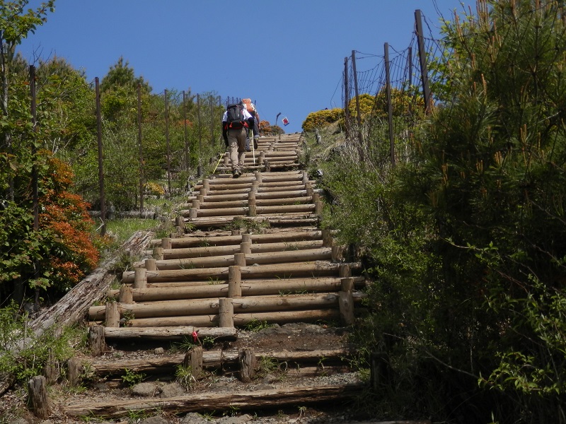 花立山荘の氷旗が見えた