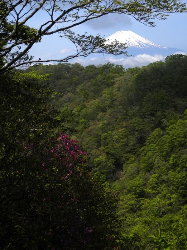 富士山が見えるうちに山頂に着きたい