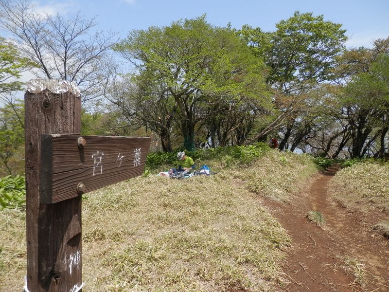 宮ヶ瀬まで11kmの道を、いざ出発