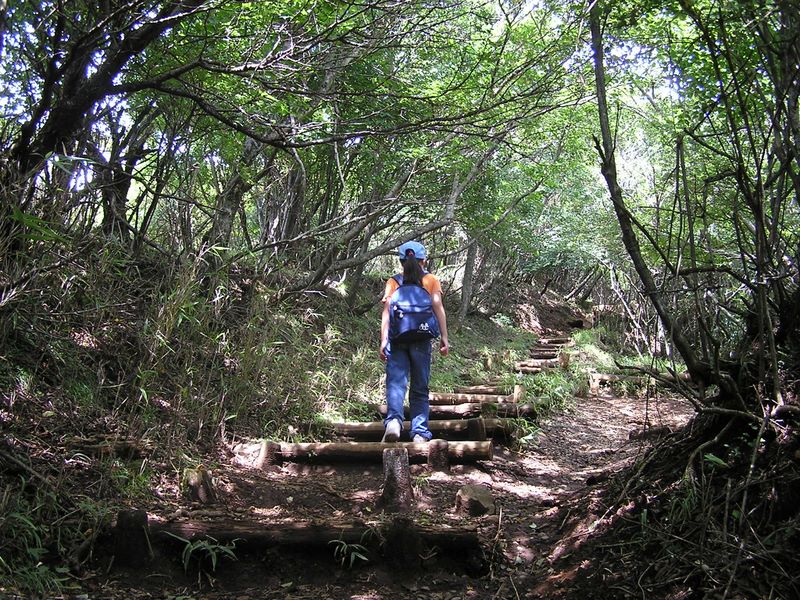 丹沢表尾根 -- ニノ塔に向かって