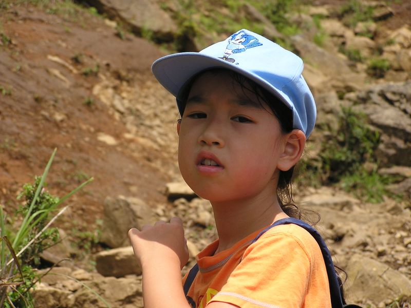 丹沢表尾根 -- 樹木がなくなって