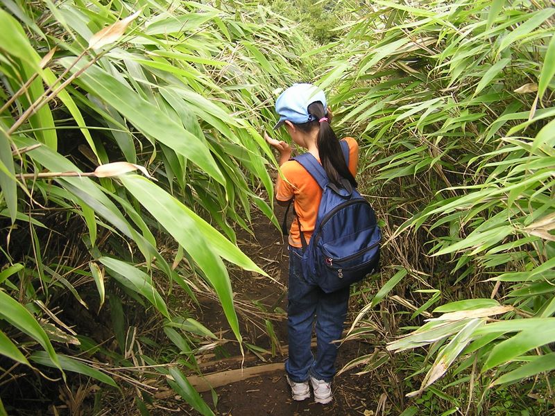 丹沢表尾根 -- ニノ塔から三の塔に向かう