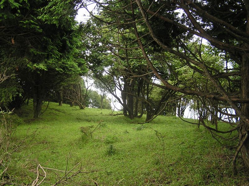 丹沢表尾根 -- 山上の公園みたい