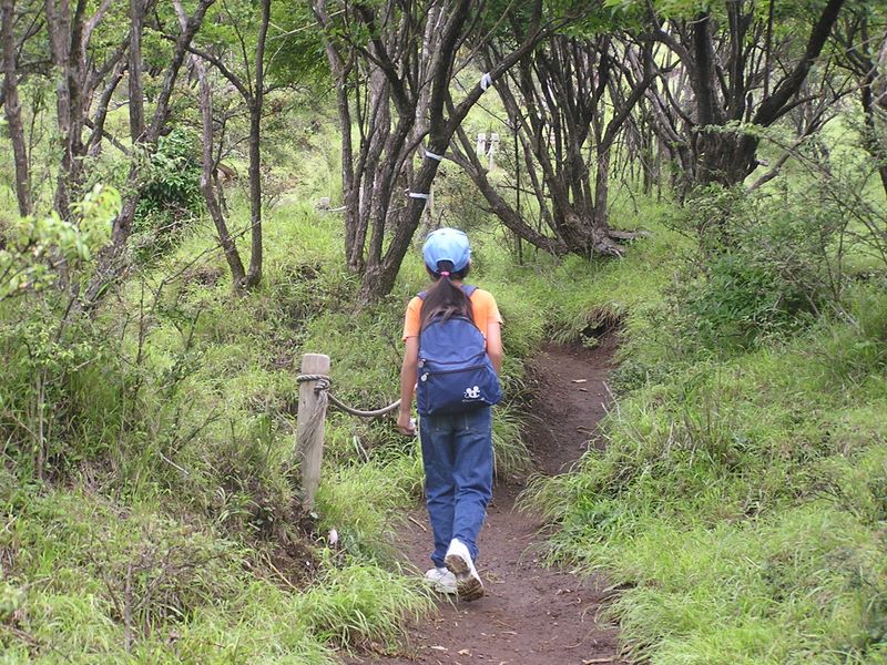 丹沢表尾根 -- 植生を守るロープ